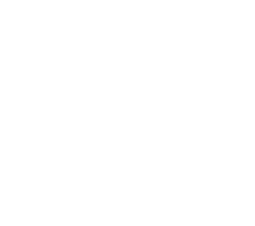 Mathekönig Logo